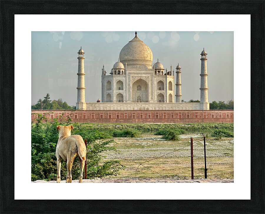 The Taj Mahal Collection 9 Picture Frame print