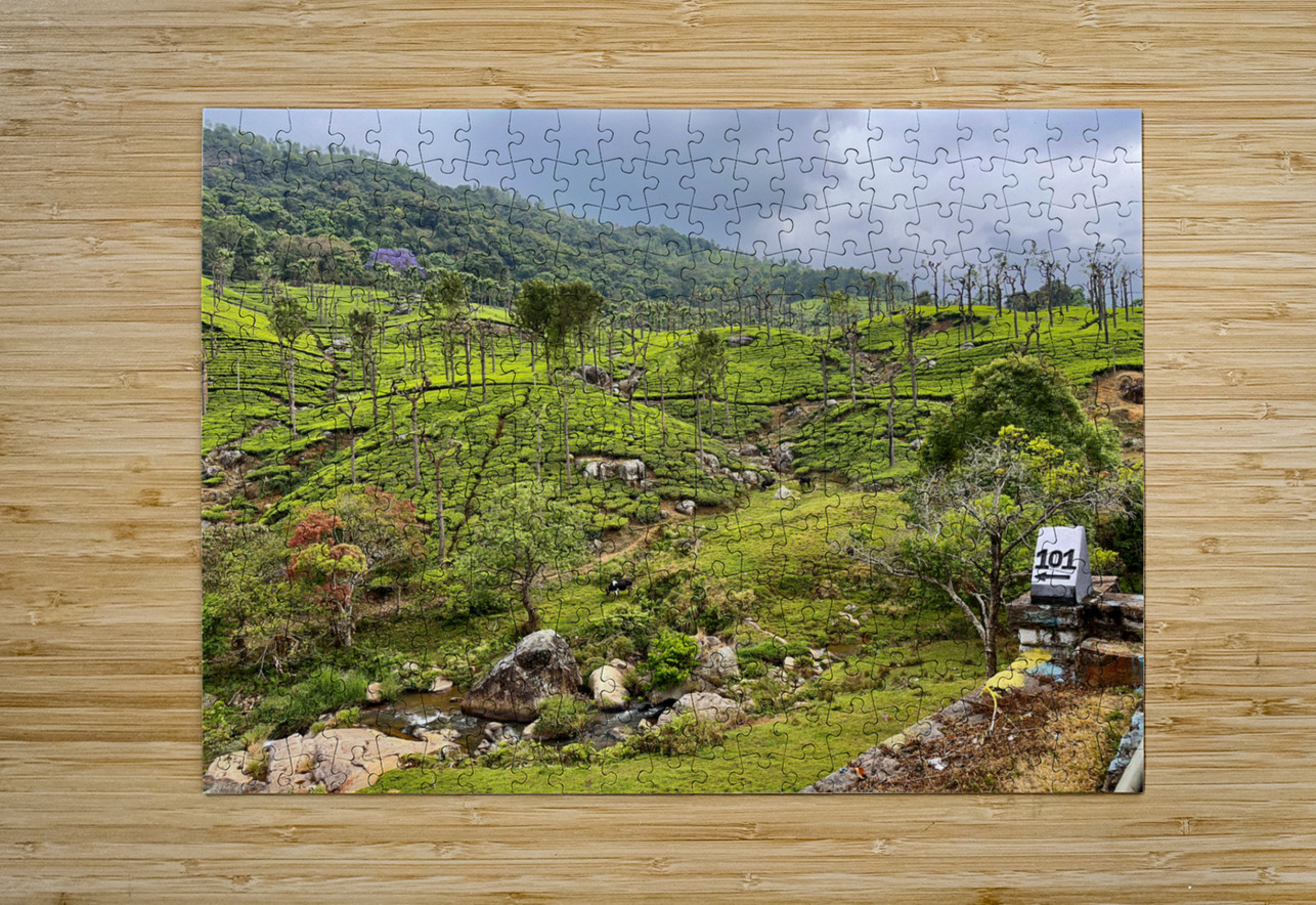 101 Tea Plantations Jimmy Roy Photos Puzzle printing