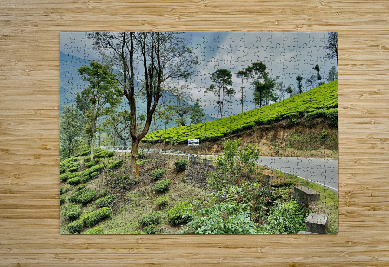 Drive Through Tea Plantations Jimmy Roy Photos Puzzle printing