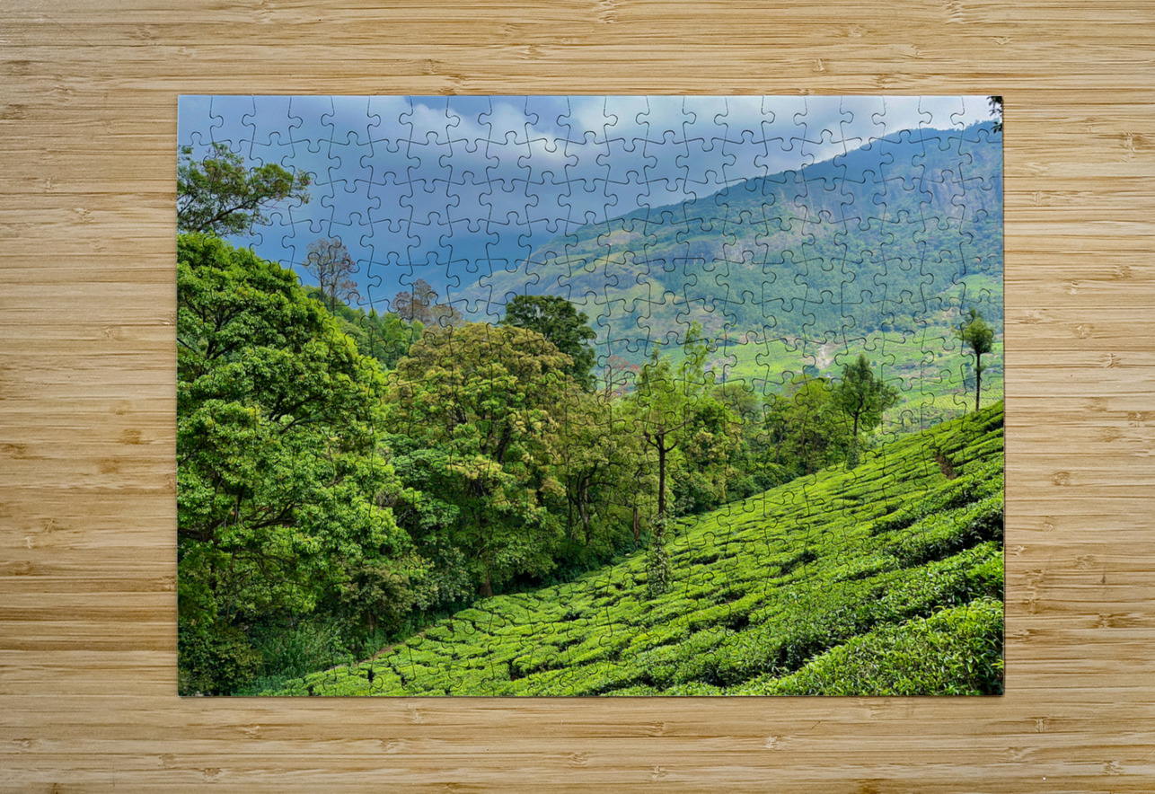 Tea Plantations 1 Jimmy Roy Photos Puzzle printing