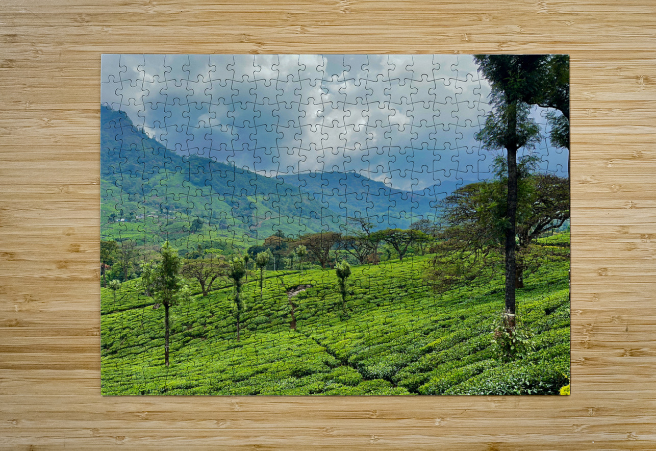 Tea Plantation Wonders Jimmy Roy Photos Puzzle printing