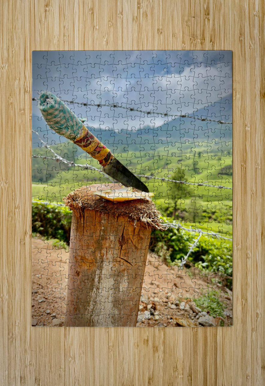 Coconut Knife 2 Jimmy Roy Photos Puzzle printing