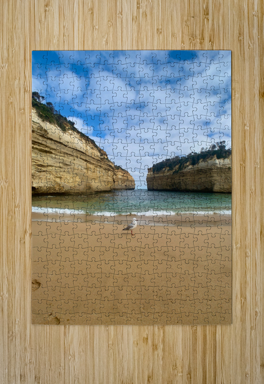 Bird on the Beach Jimmy Roy Photos Puzzle printing