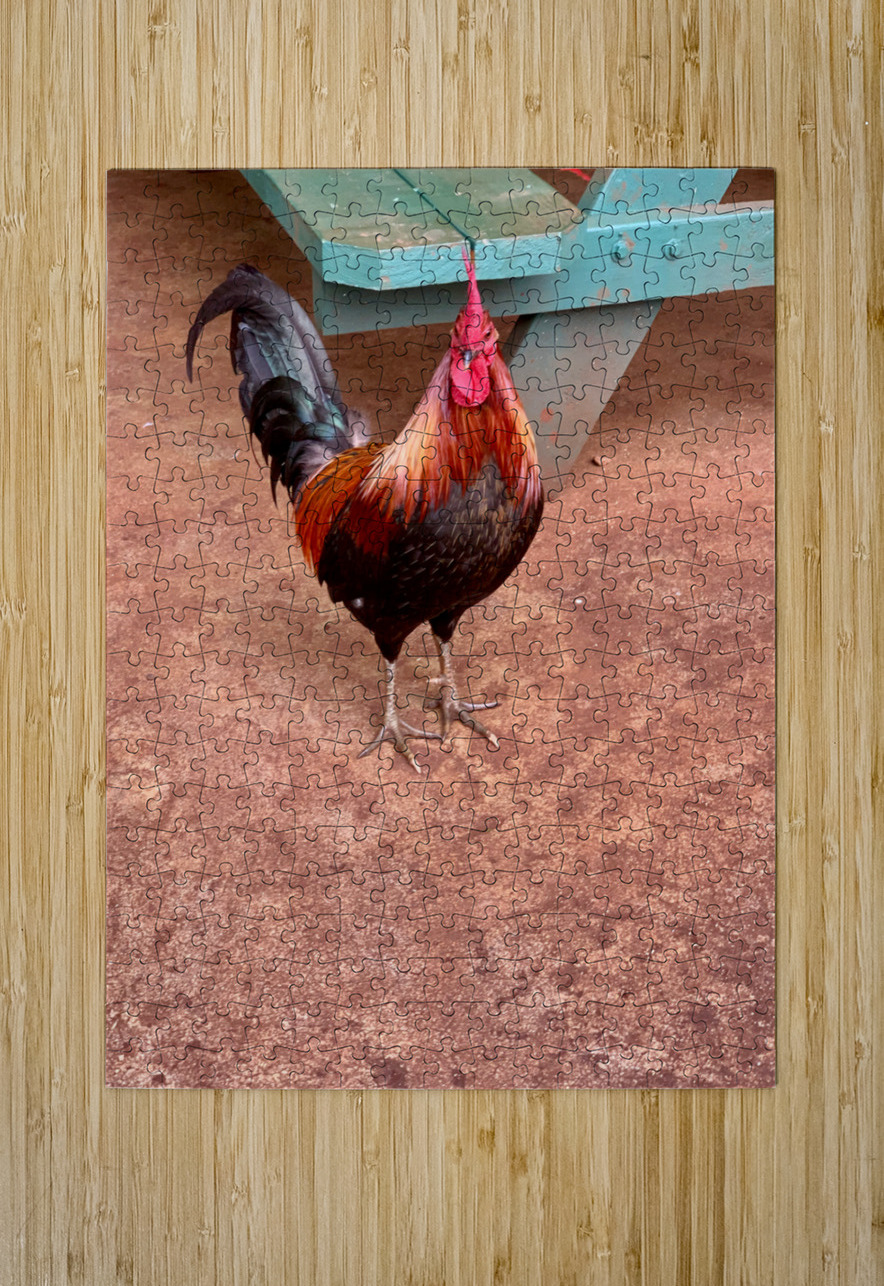 Rooster by the Table Jimmy Roy Photos Puzzle printing