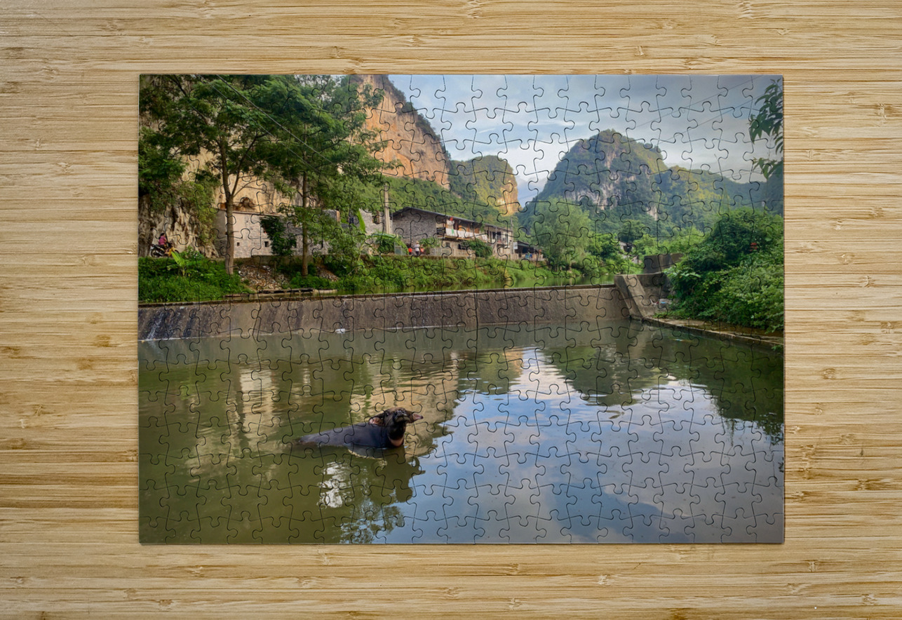 Water Buffalo Bathing Jimmy Roy Photos Puzzle printing