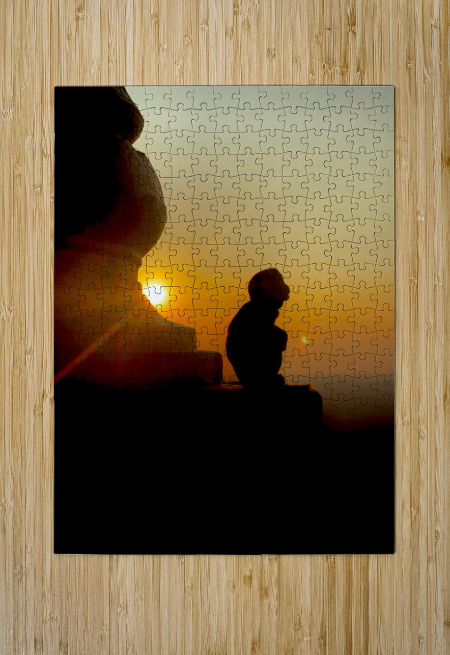 Enlightened Monkey at Sunset Jimmy Roy Photos Puzzle printing