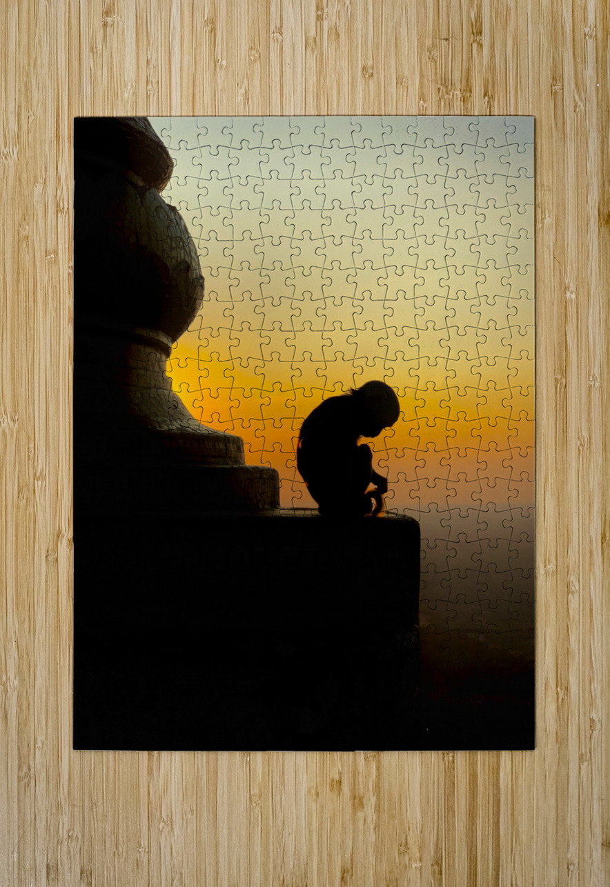 Meditative Monkey at Sunset Jimmy Roy Photos Puzzle printing