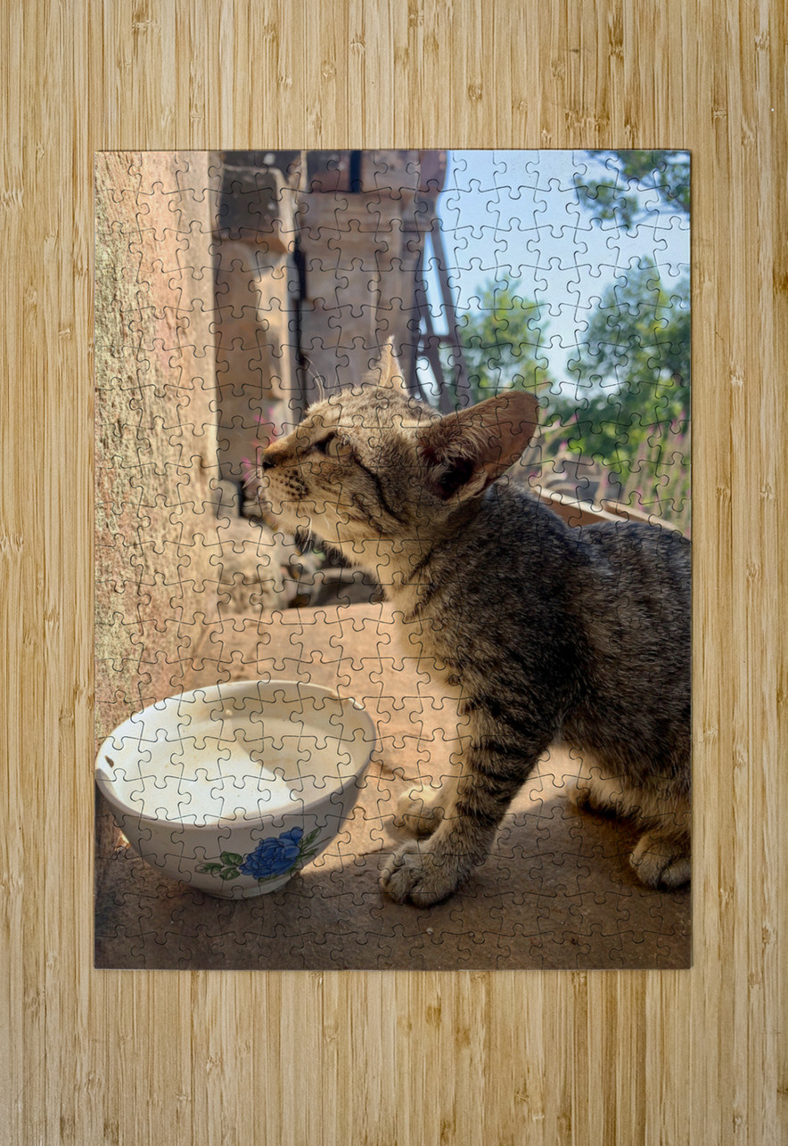 Cat Dreaming of the Future Jimmy Roy Photos Puzzle printing