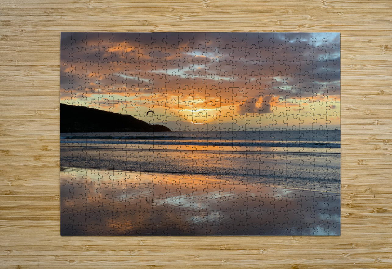 Amazing Sunset with Bird Jimmy Roy Photos Puzzle printing