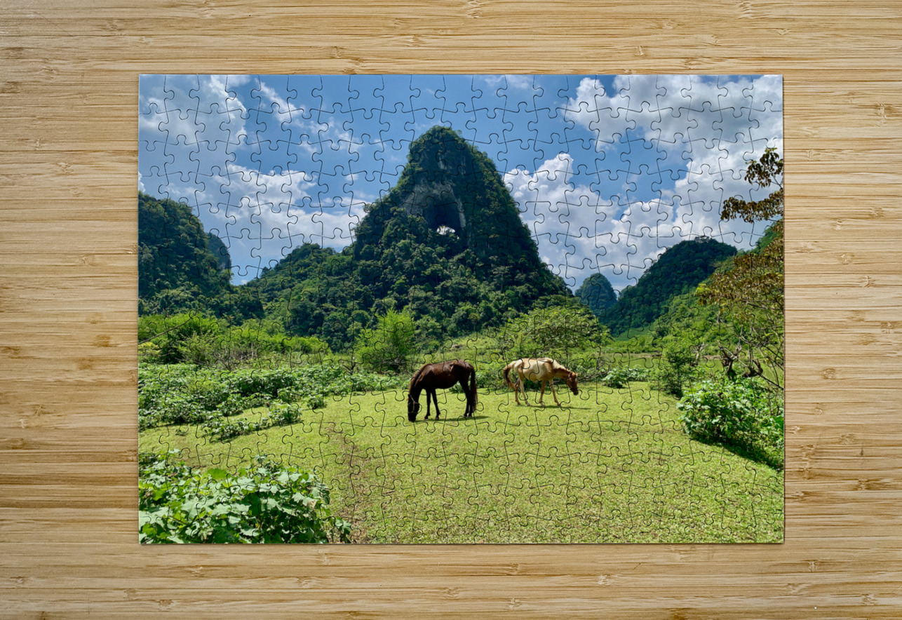 Horses by Angle Eye Mountain Jimmy Roy Photos Puzzle printing
