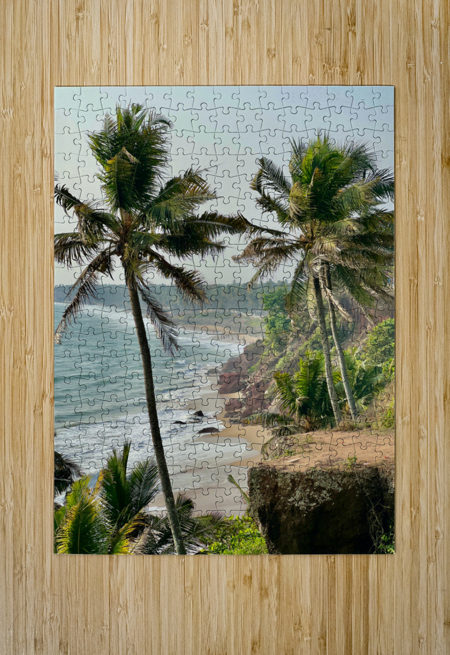 Palm Trees by the Beach Jimmy Roy Photos Puzzle printing