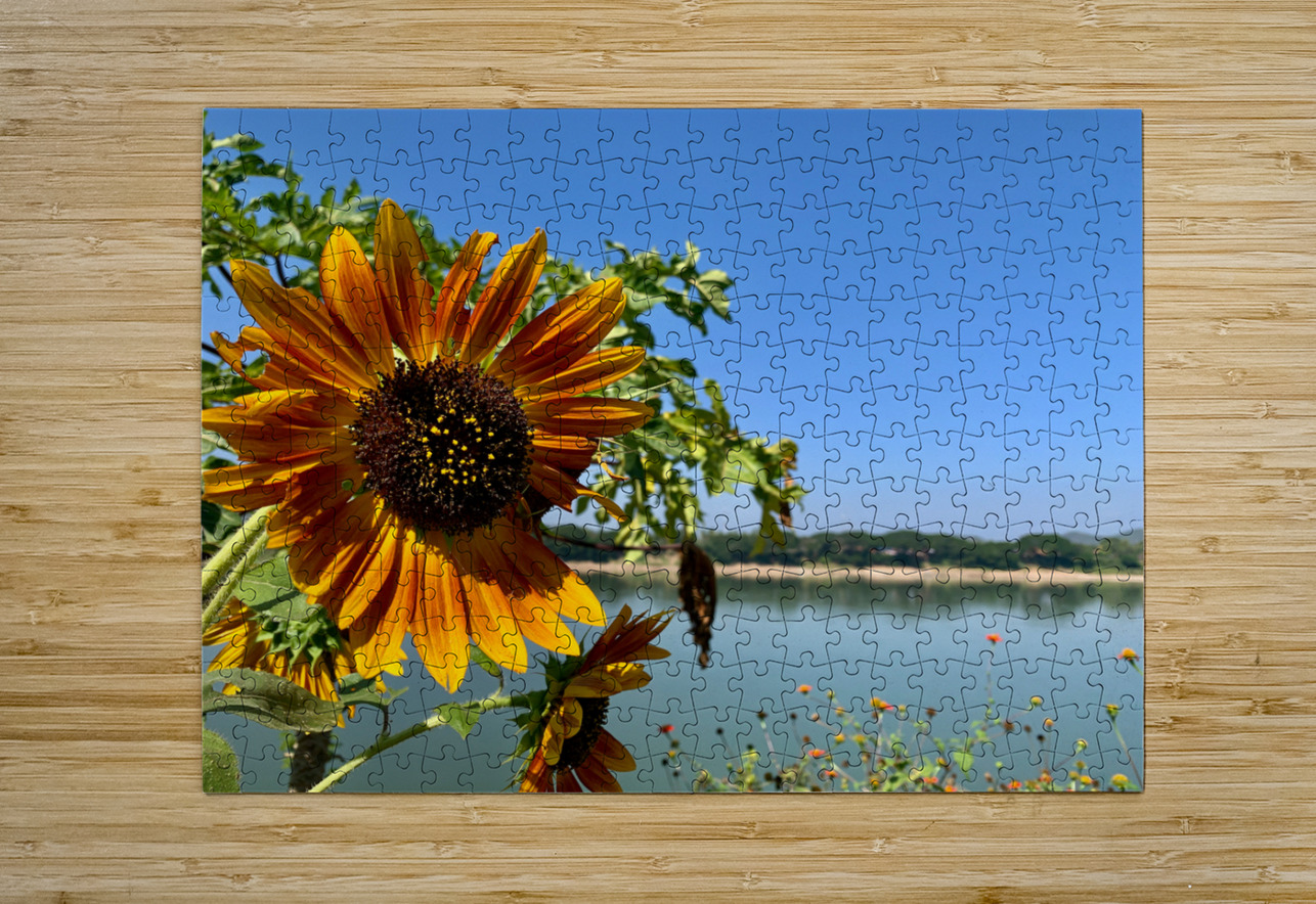Sunflower View Jimmy Roy Photos Puzzle printing