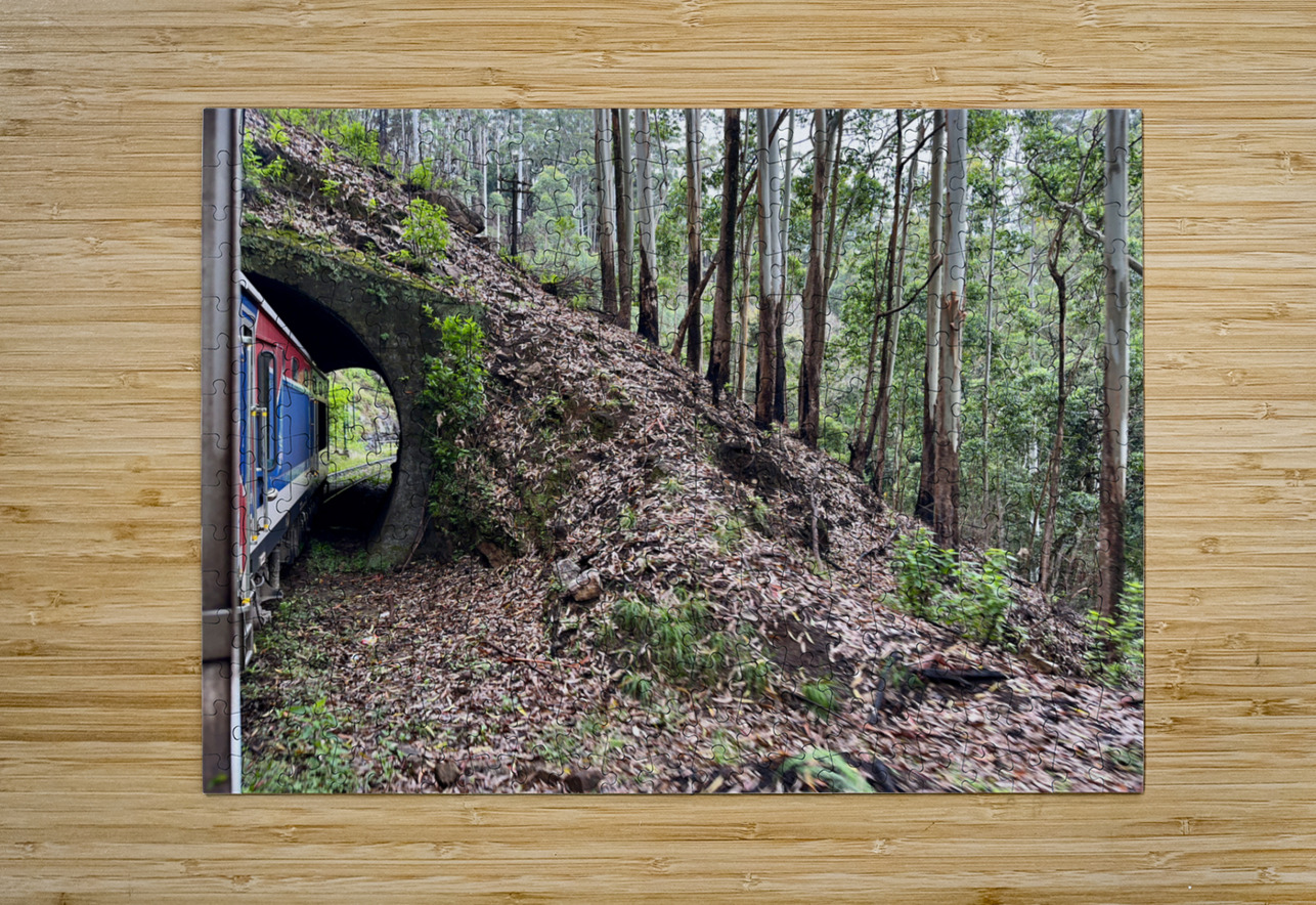 Train Through the Mini Tunnel Jimmy Roy Photos Puzzle printing