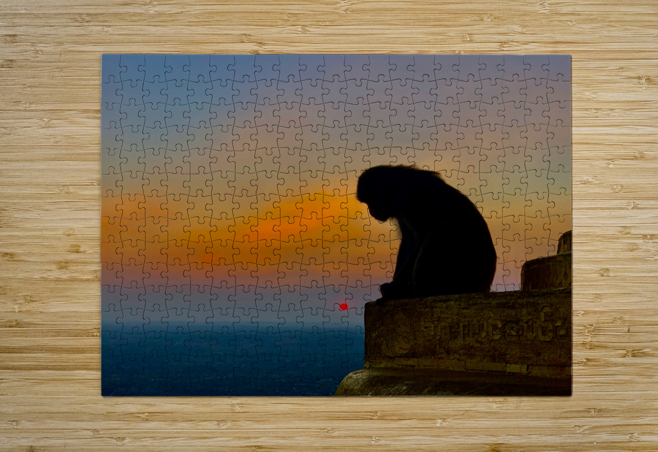 Thinking Monkey at Sunset Jimmy Roy Photos Puzzle printing