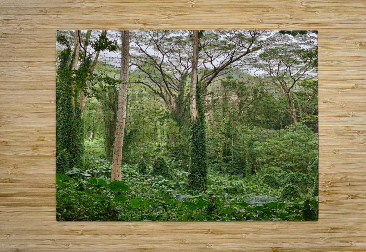 The Canopy Jimmy Roy Photos Puzzle printing