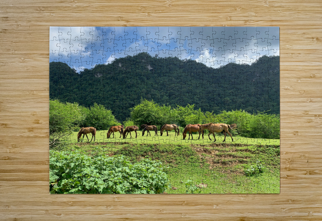 Wild horses Jimmy Roy Photos Puzzle printing