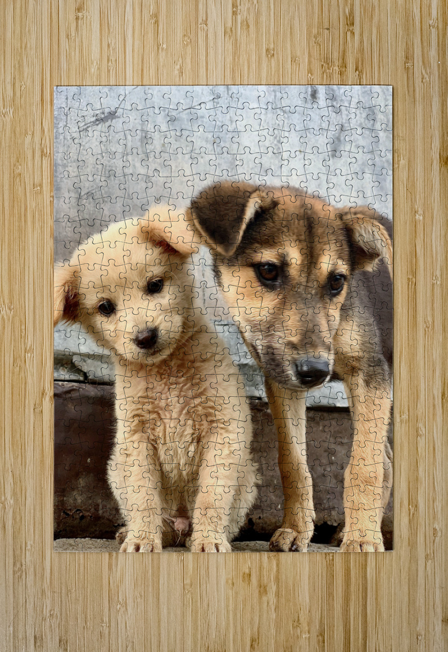 Give Me Some Room Puppy Jimmy Roy Photos Puzzle printing
