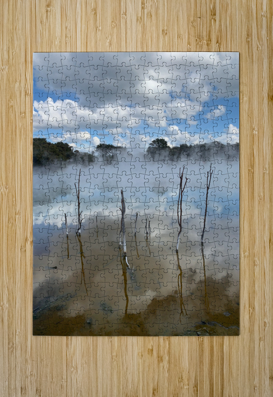 Branches reflections Jimmy Roy Photos Puzzle printing