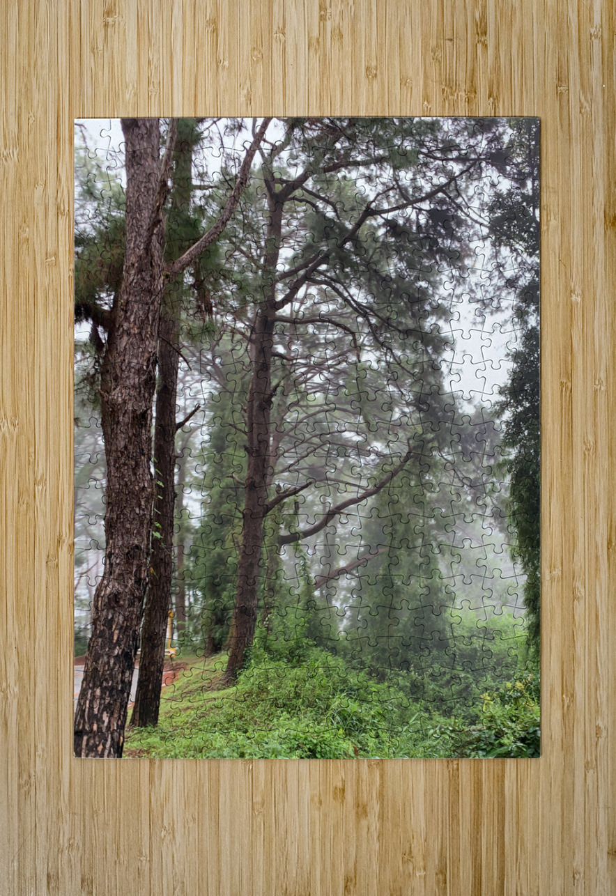 Trees of Mystery Jimmy Roy Photos Puzzle printing