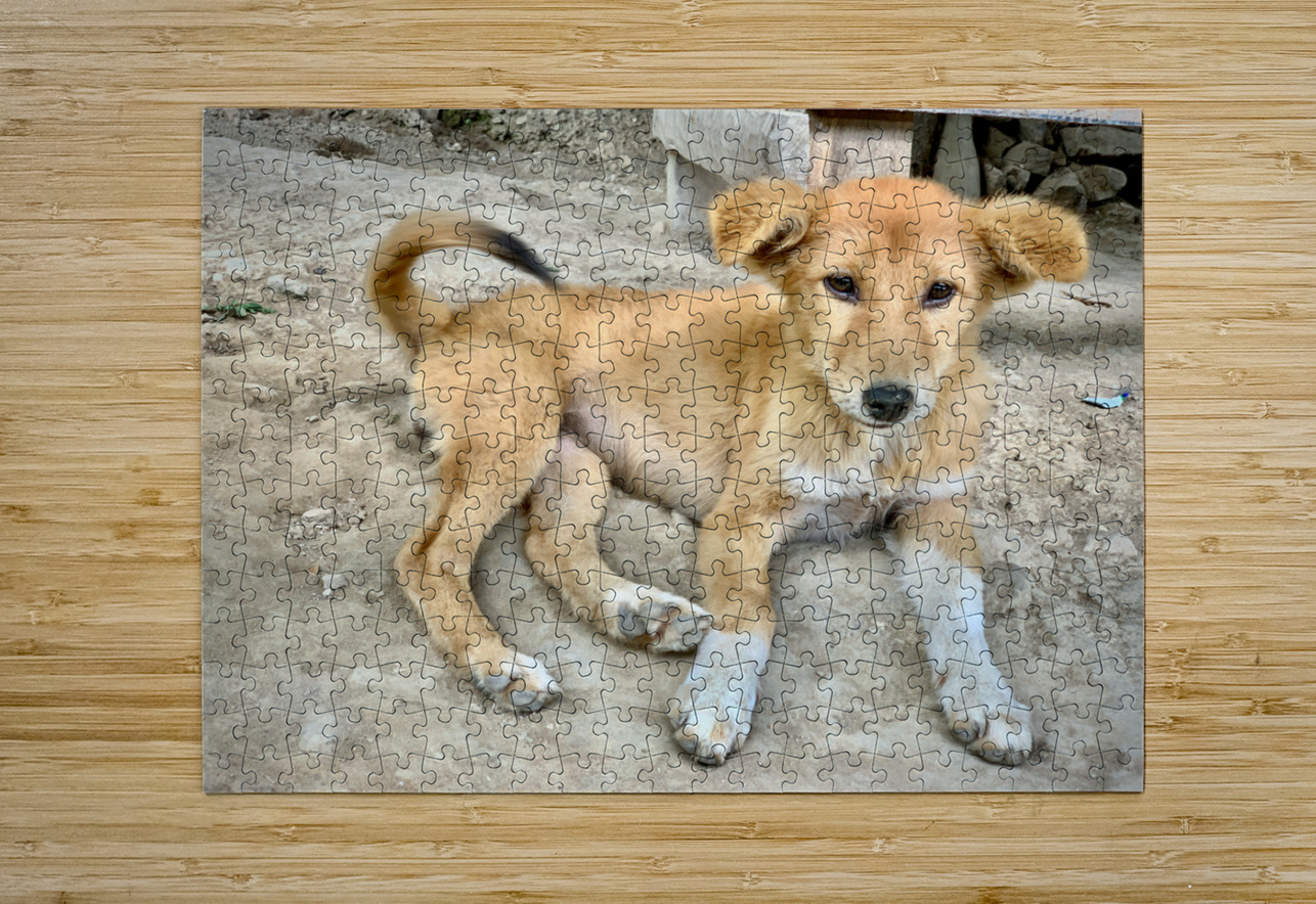 Cute Puppy Jimmy Roy Photos Puzzle printing