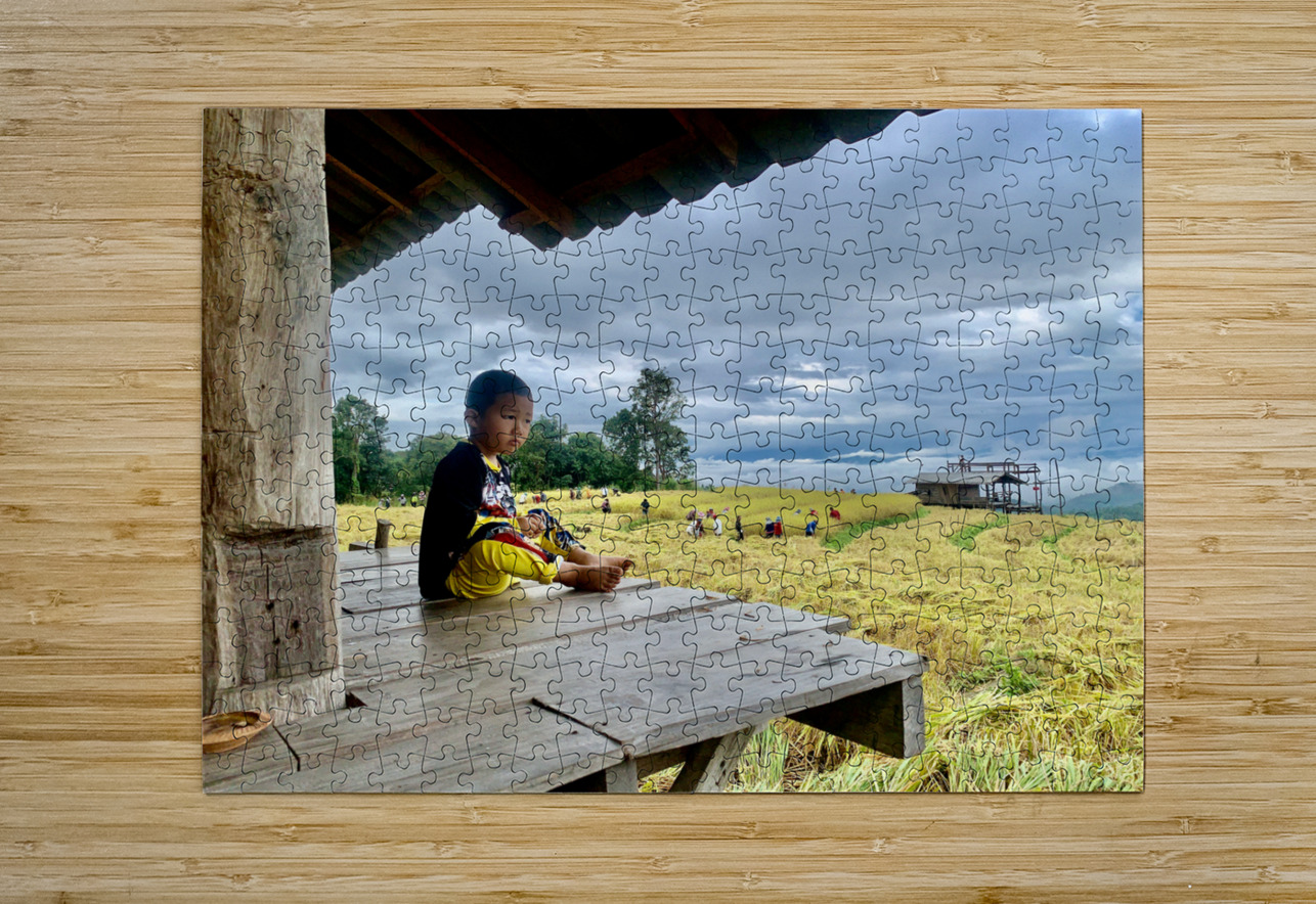 Boy Looking Over the Rice Field Jimmy Roy Photos Puzzle printing