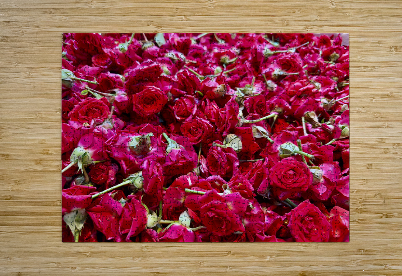 Many Roses Jimmy Roy Photos Puzzle printing