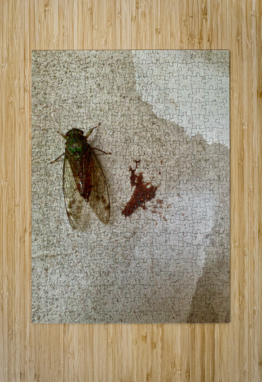 The Fly Jimmy Roy Photos Puzzle printing