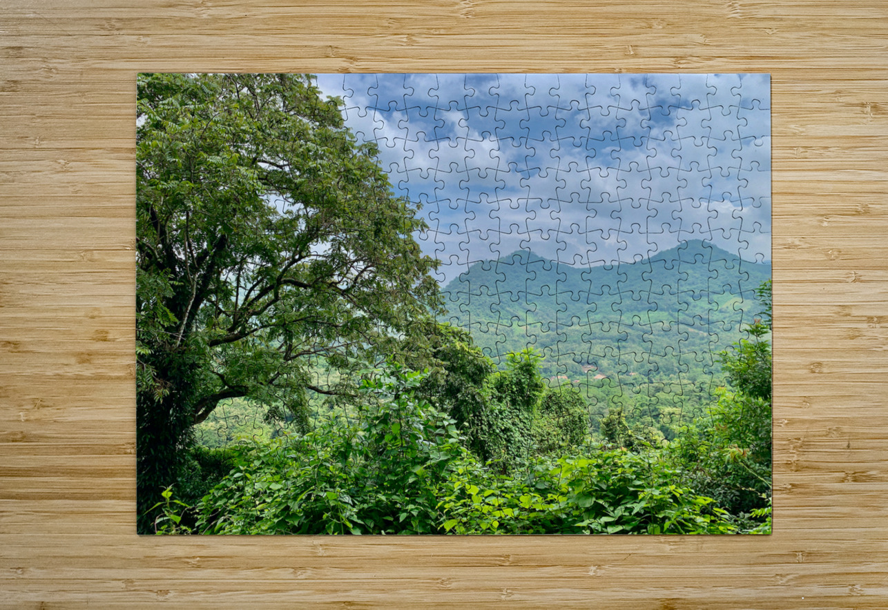 Jungle View Jimmy Roy Photos Puzzle printing
