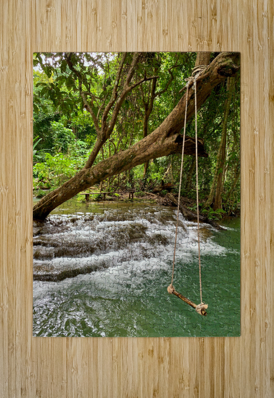 Swing in the Jungle Jimmy Roy Photos Puzzle printing