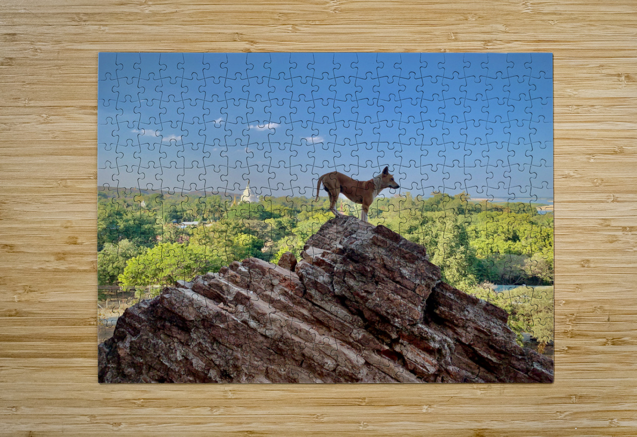 Downward Facing Dog Jimmy Roy Photos Puzzle printing