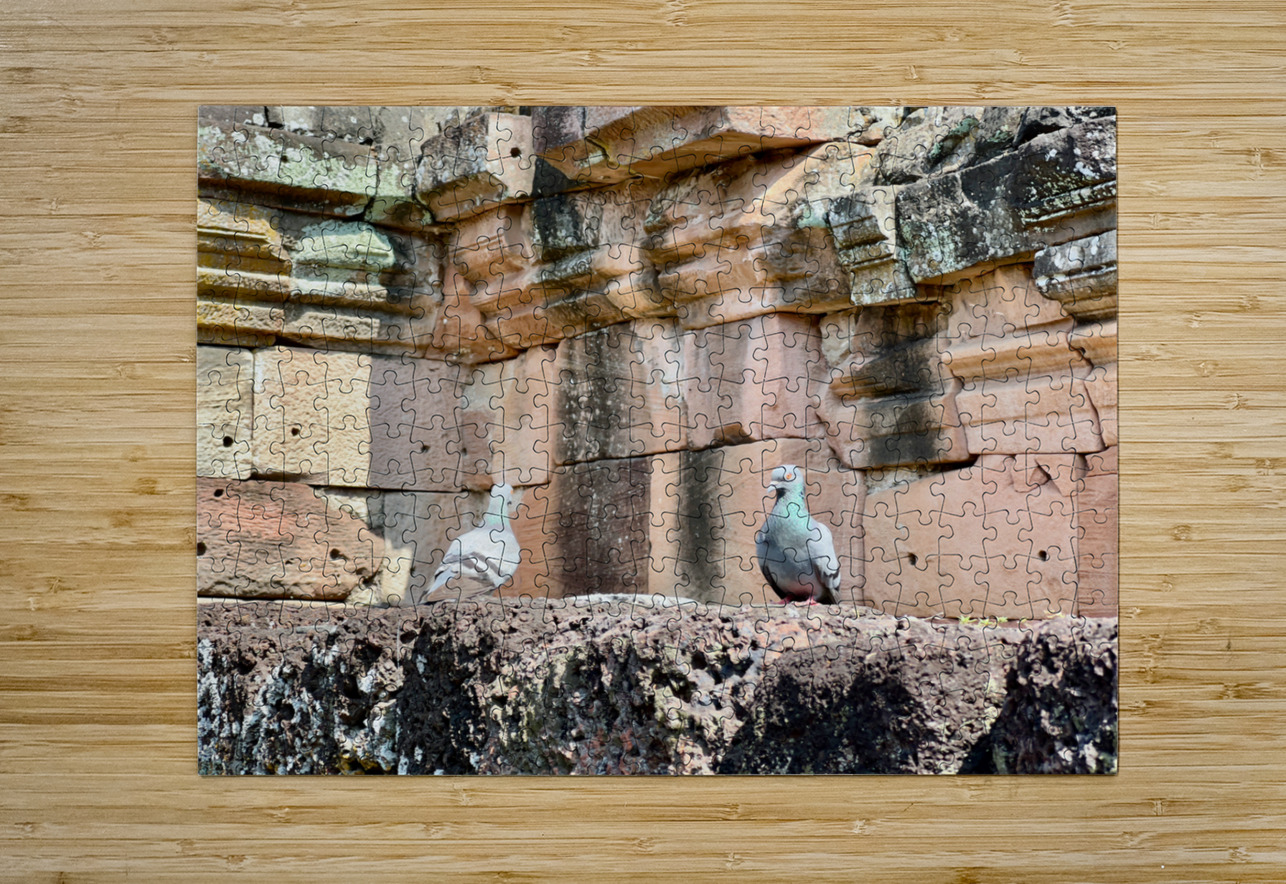 Birds in Historical Site Jimmy Roy Photos Puzzle printing