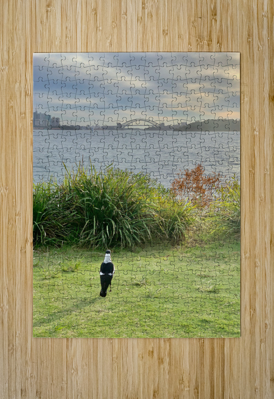 Bird Looking at the Bridge Jimmy Roy Photos Puzzle printing
