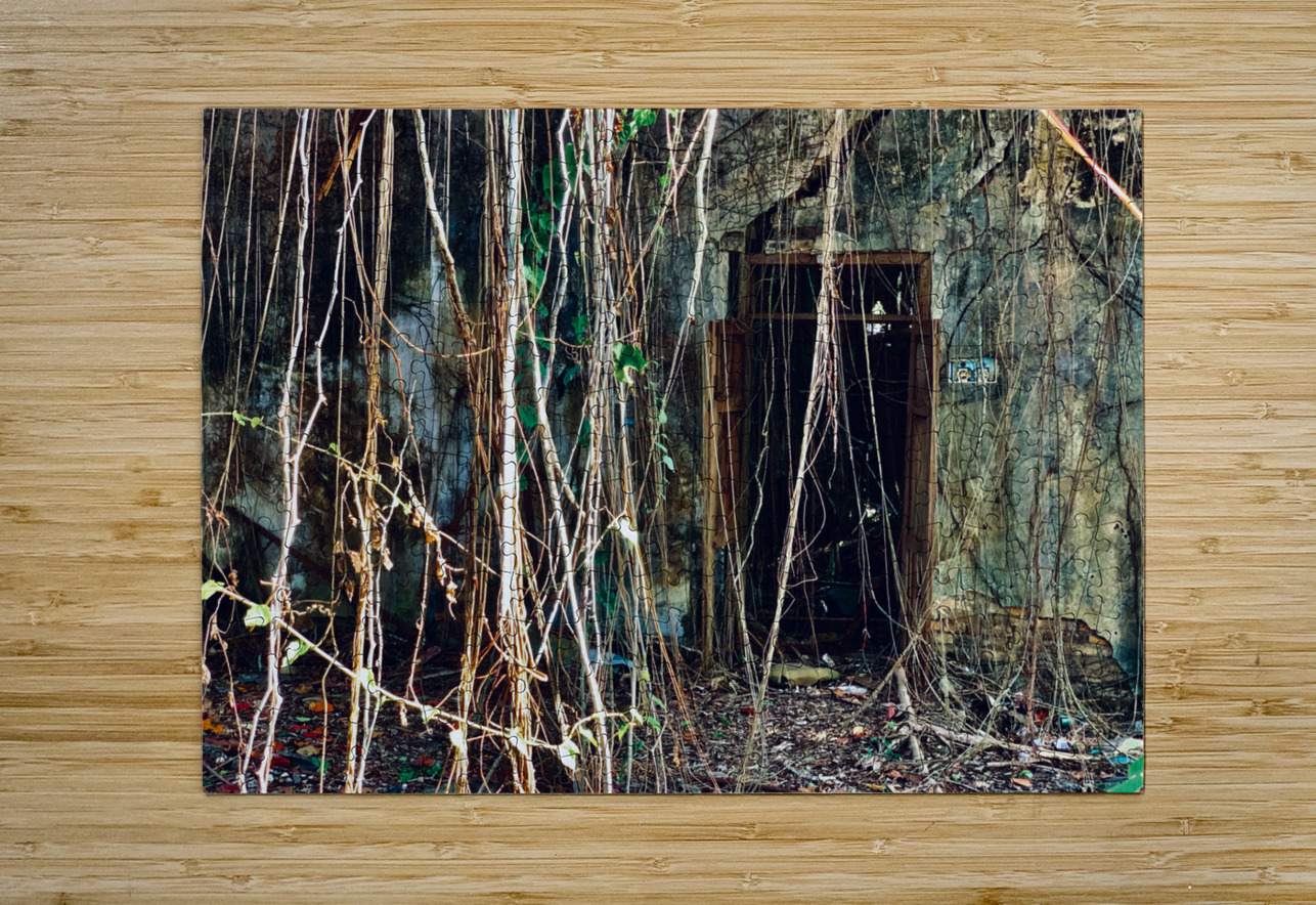 Find the Entrance Jimmy Roy Photos Puzzle printing