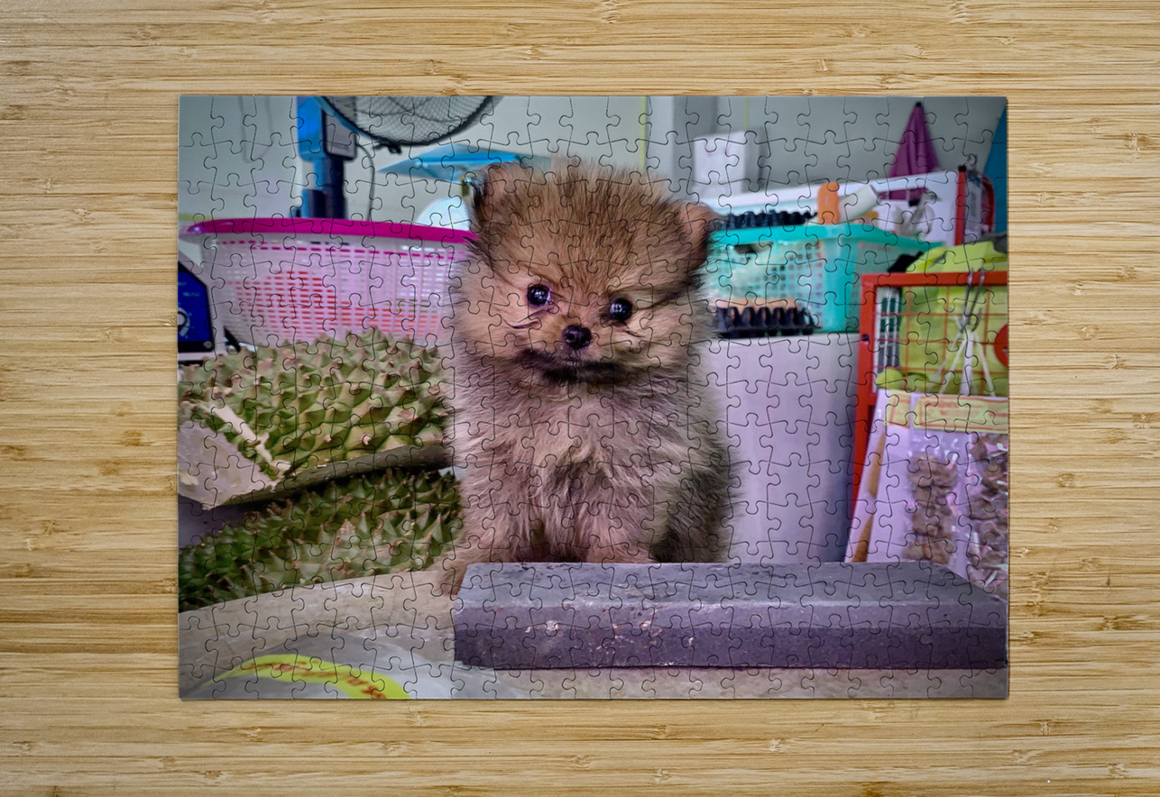 Furry Puppy Jimmy Roy Photos Puzzle printing