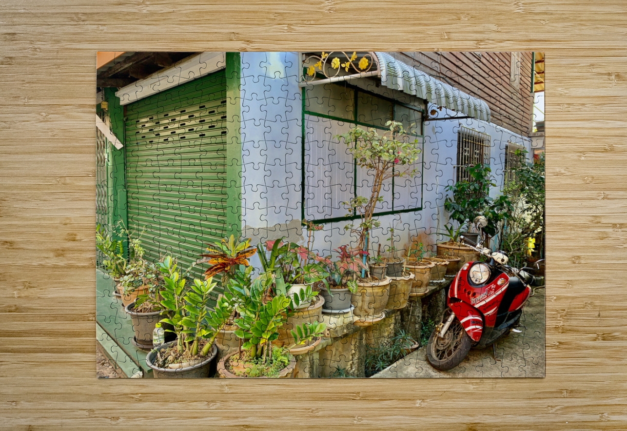 Plants on the Corner Jimmy Roy Photos Puzzle printing