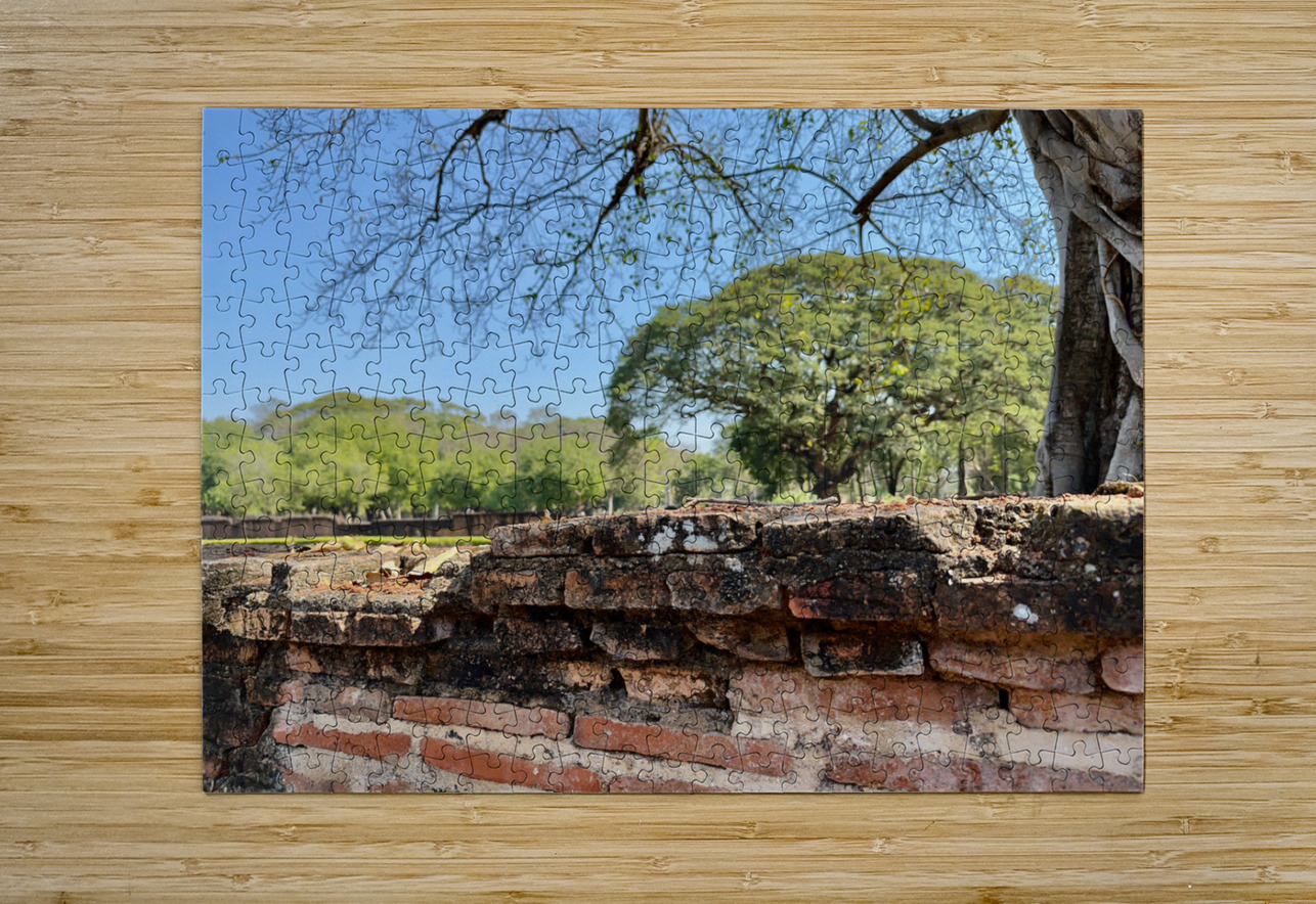 Nature Behind the Wall Jimmy Roy Photos Puzzle printing