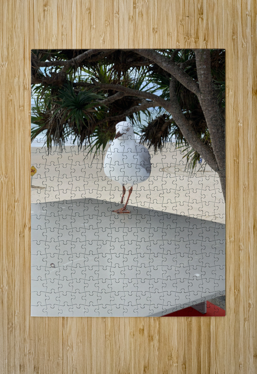 One Leg Balance Jimmy Roy Photos Puzzle printing