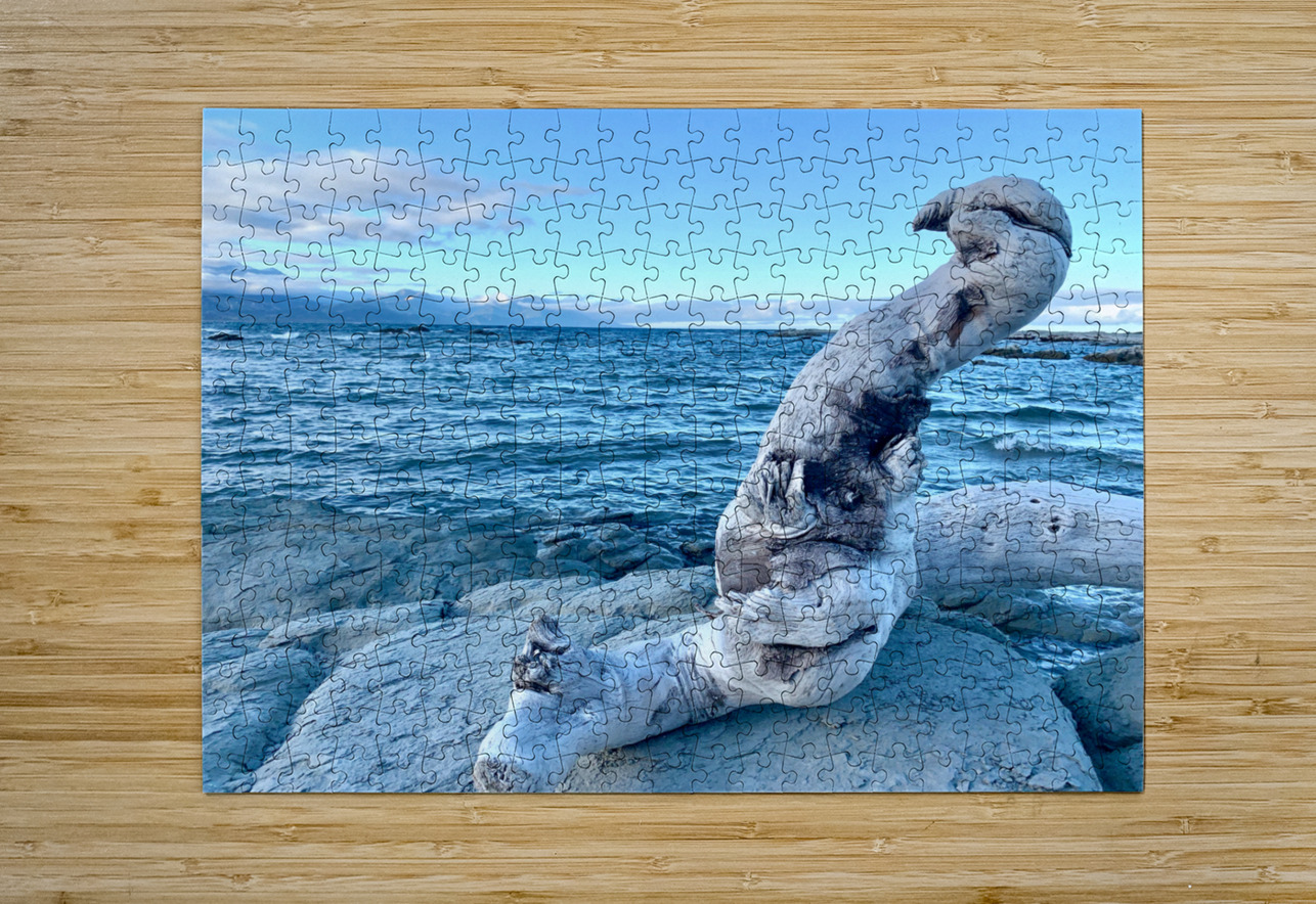 Bird Shaped Wood in Front of the Ocean Jimmy Roy Photos Puzzle printing