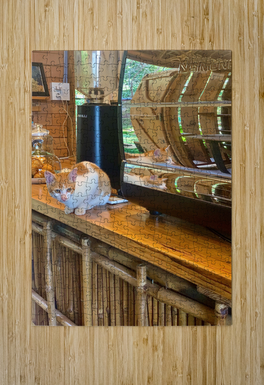 A Cat Named Cappucino Jimmy Roy Photos Puzzle printing