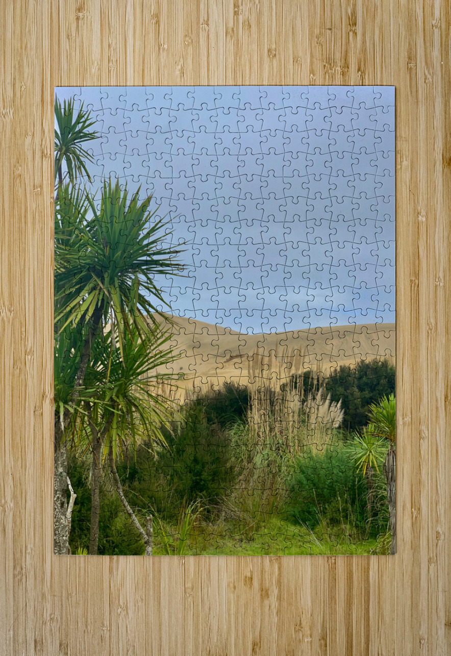 Sand Dunes Ahead Jimmy Roy Photos Puzzle printing