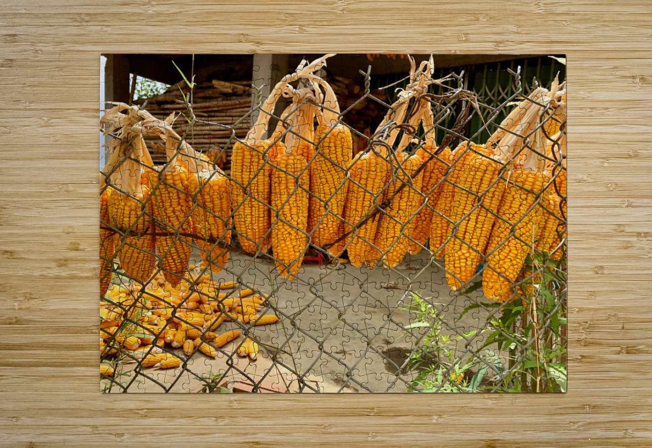 Corn Hanging on the Fence Jimmy Roy Photos Puzzle printing