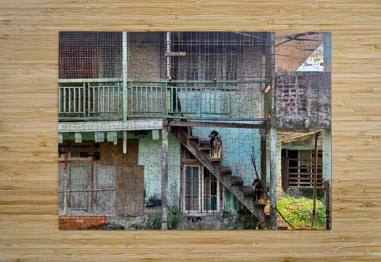 Dogs Looking Right Jimmy Roy Photos Puzzle printing