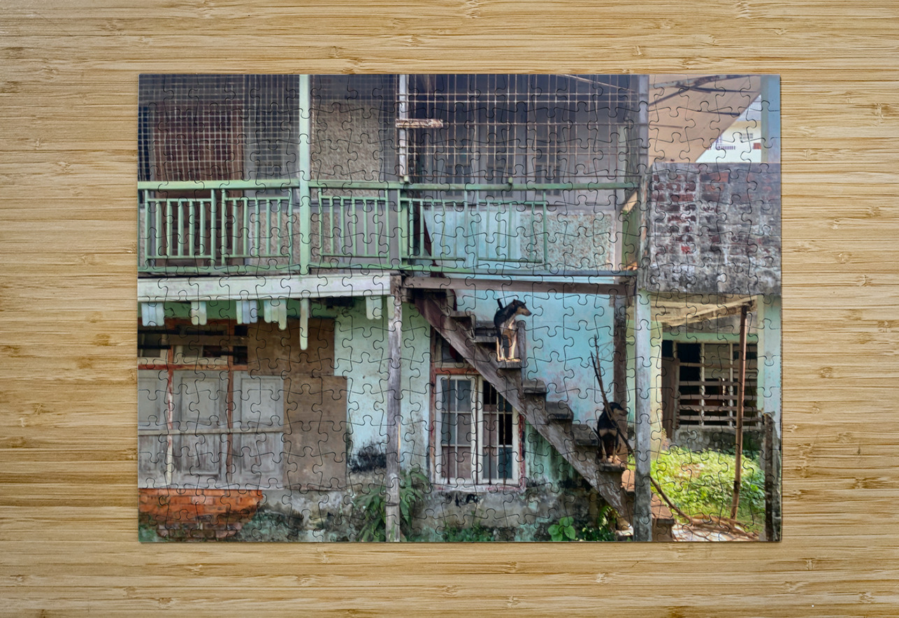 Dogs looking Left Jimmy Roy Photos Puzzle printing