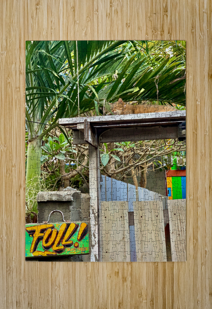 Full House Kitty Cat Jimmy Roy Photos Puzzle printing