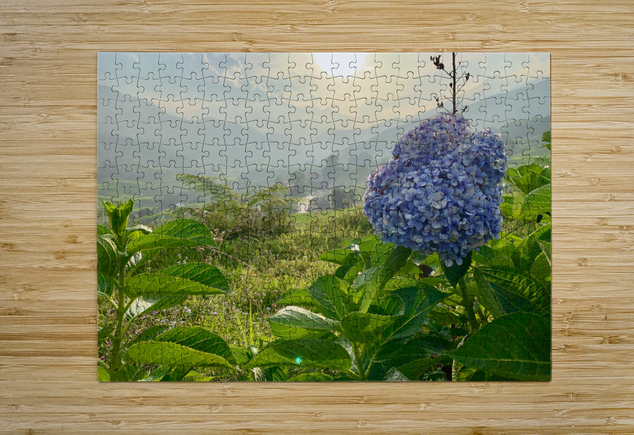 Purple Flowers for Sunset Jimmy Roy Photos Puzzle printing