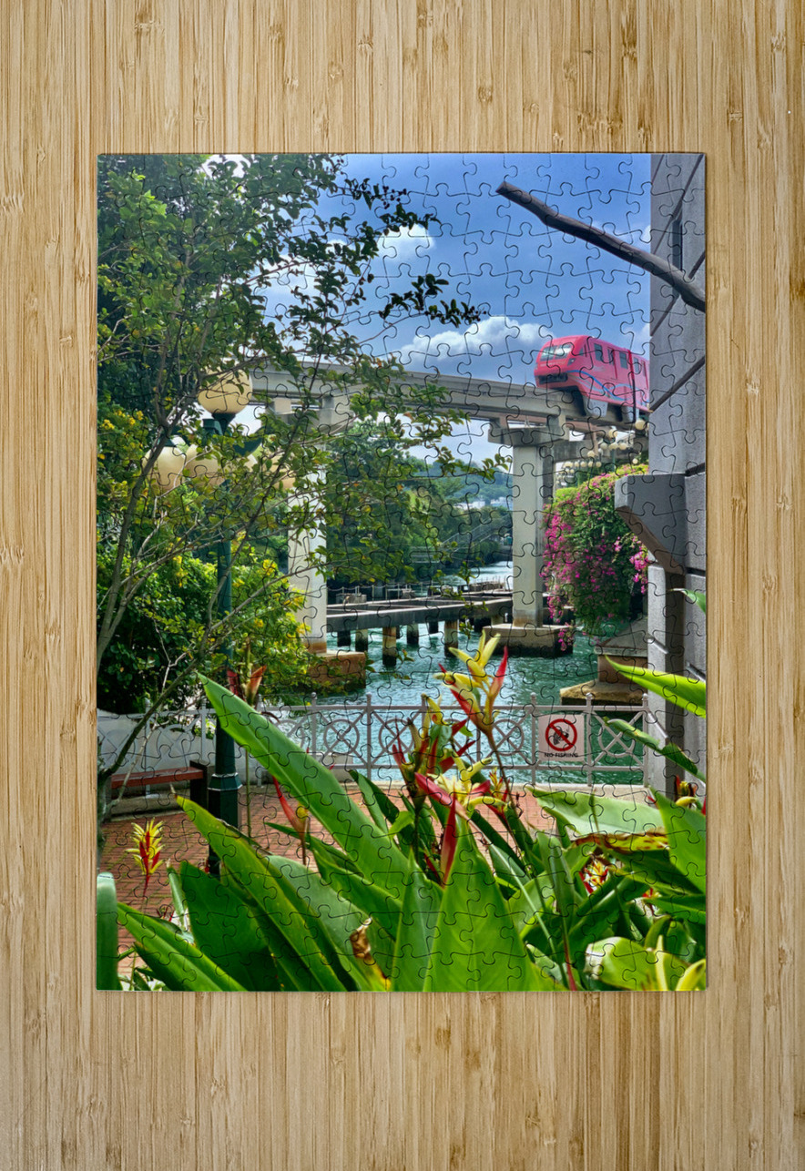 The Pink Train Jimmy Roy Photos Puzzle printing