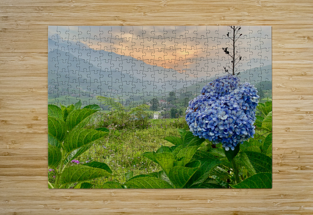 Purple Flowers for Sunset 2 Jimmy Roy Photos Puzzle printing