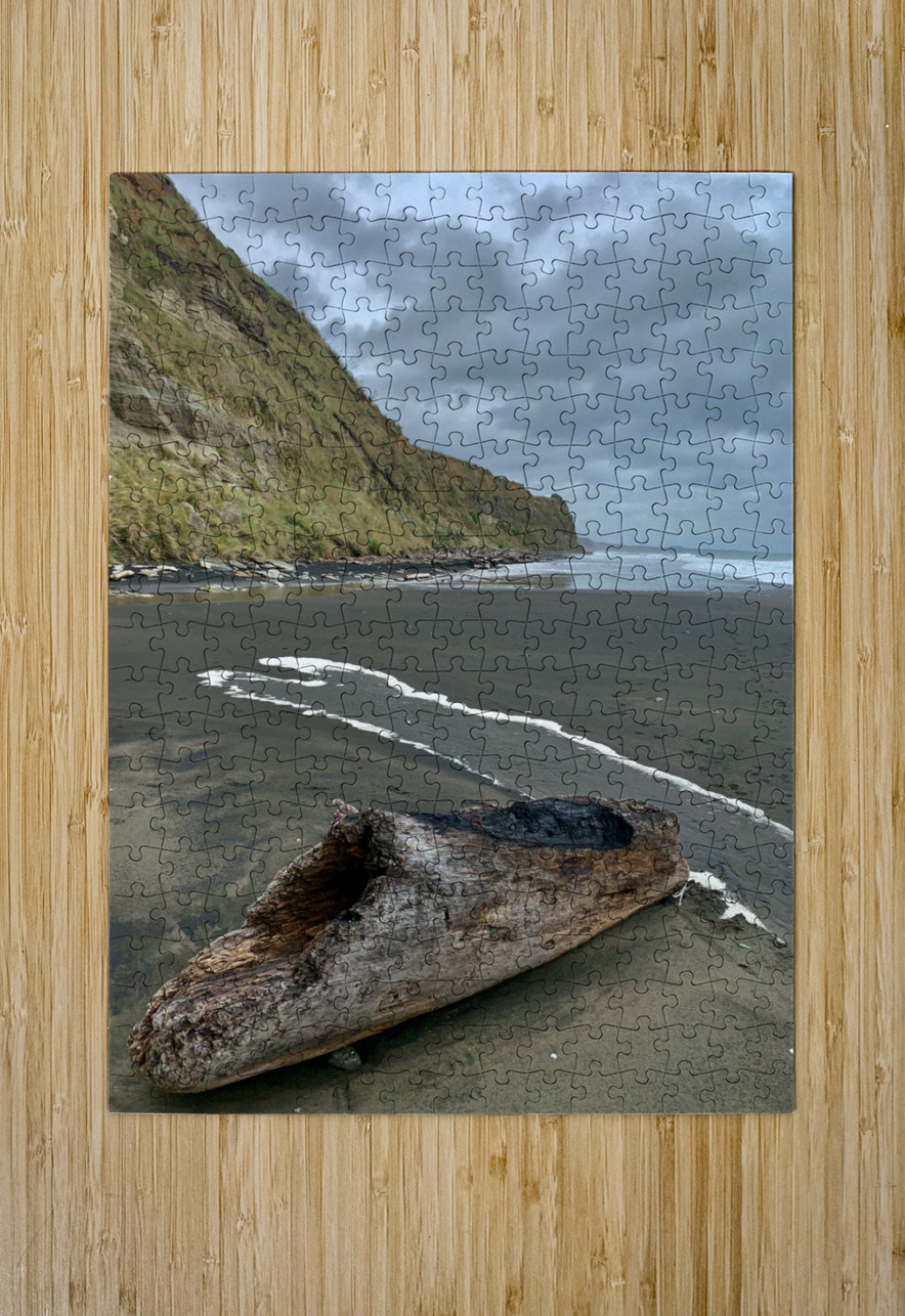 Nice Log on Black Sand Jimmy Roy Photos Puzzle printing