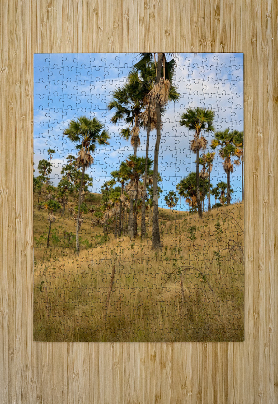 Palm Trees on the Hills Jimmy Roy Photos Puzzle printing