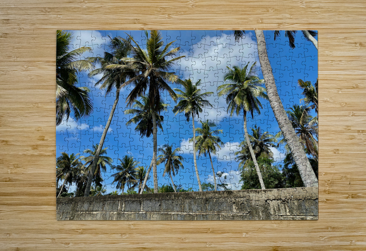 Palm Trees behind the Wall Jimmy Roy Photos Puzzle printing